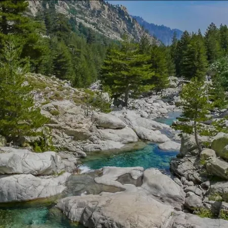 Entre Et Montagnes Avec Vue Magique Chalet Canavaggia
