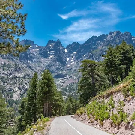 Entre Et Montagnes Avec Vue Magique Chalet Canavaggia