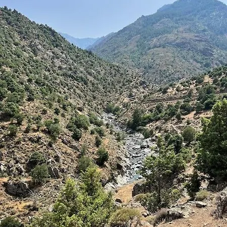 Entre Et Montagnes Avec Vue Magique Chalet Canavaggia